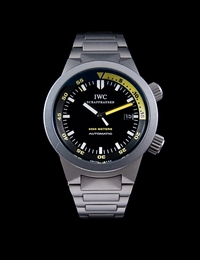 13 - IWC